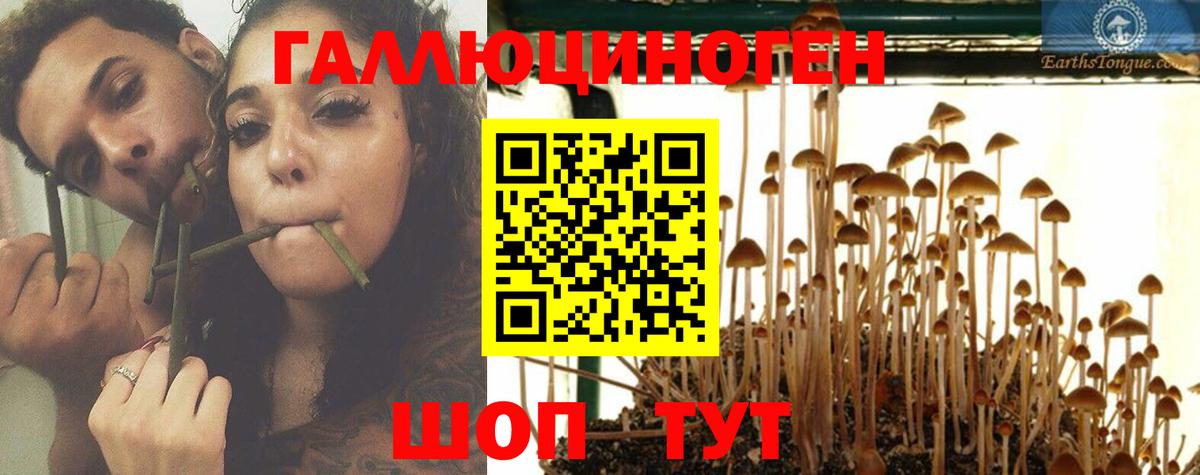 Кузнецк  Псилоцибиновые грибы Magic Shrooms  купить   Вход с VPN  Галлюциногенные грибы Magic Shrooms 