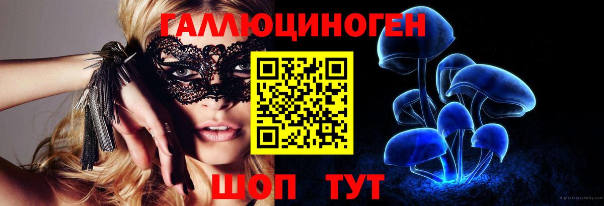 ГАШИШ Кузнецк